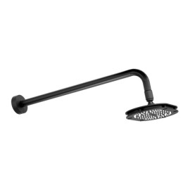 Regadera de chorro fijo Premier Ébano